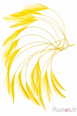 Gallo - 10-15 cm - giallo
